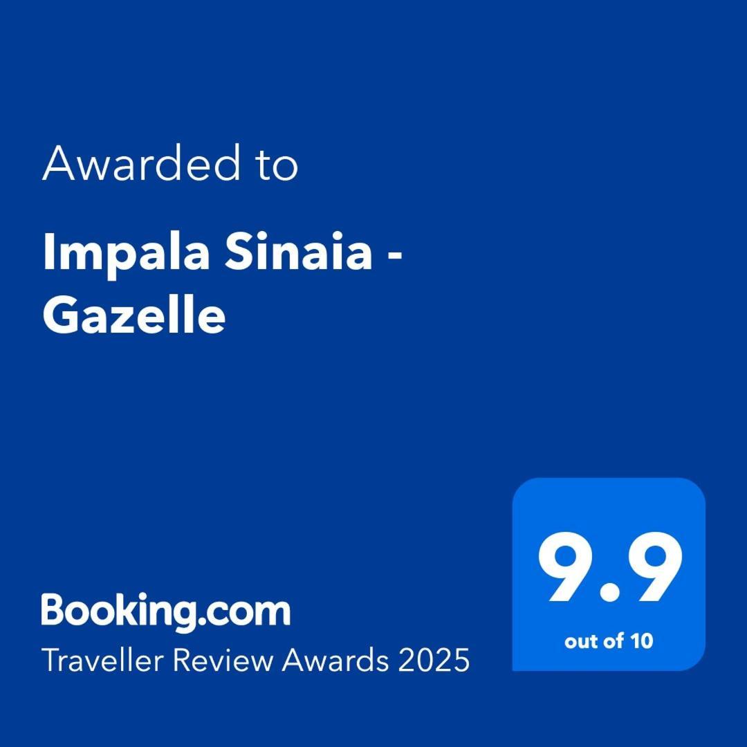 Impala Sinaia - Gazelle Exterior foto